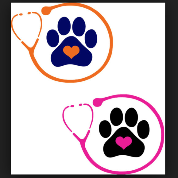 Meet your Posher, Anissa - Picture 4 of 7